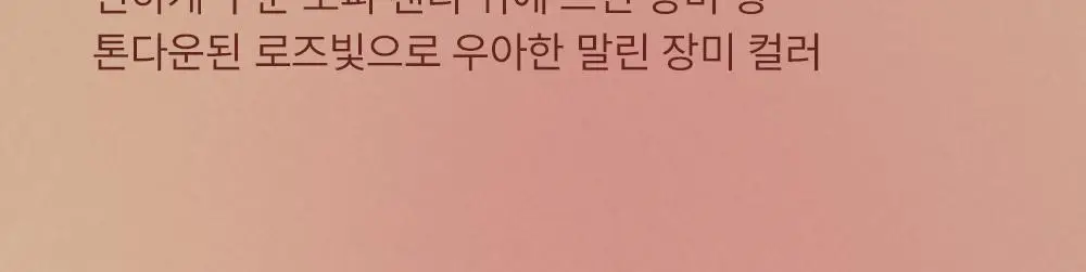 [인보라 공동개발/단독기획] 얼터너티브스테레오 립 포션 카라멜 글레이즈 8ml 상세페이지 56